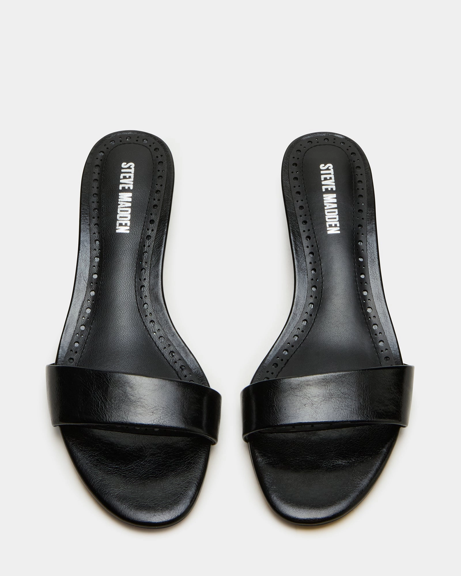 BERRY BLACK