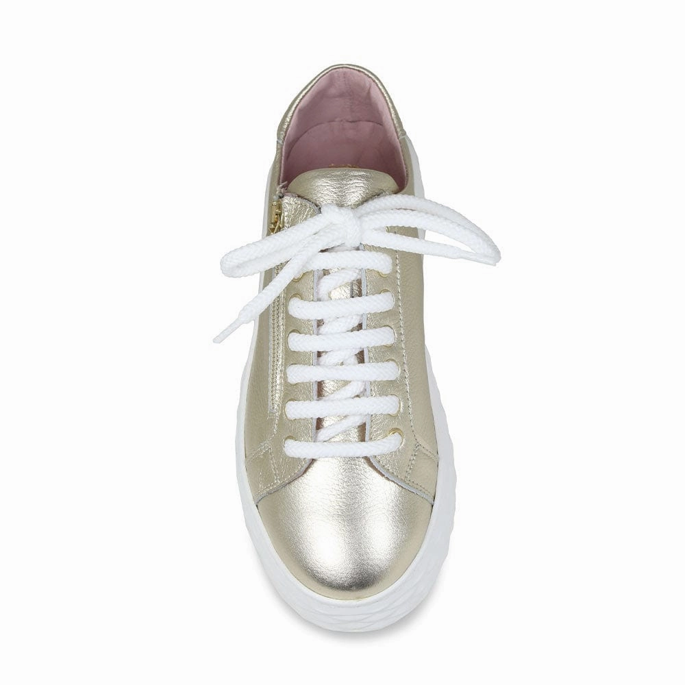 Palazzo: Gold Leather