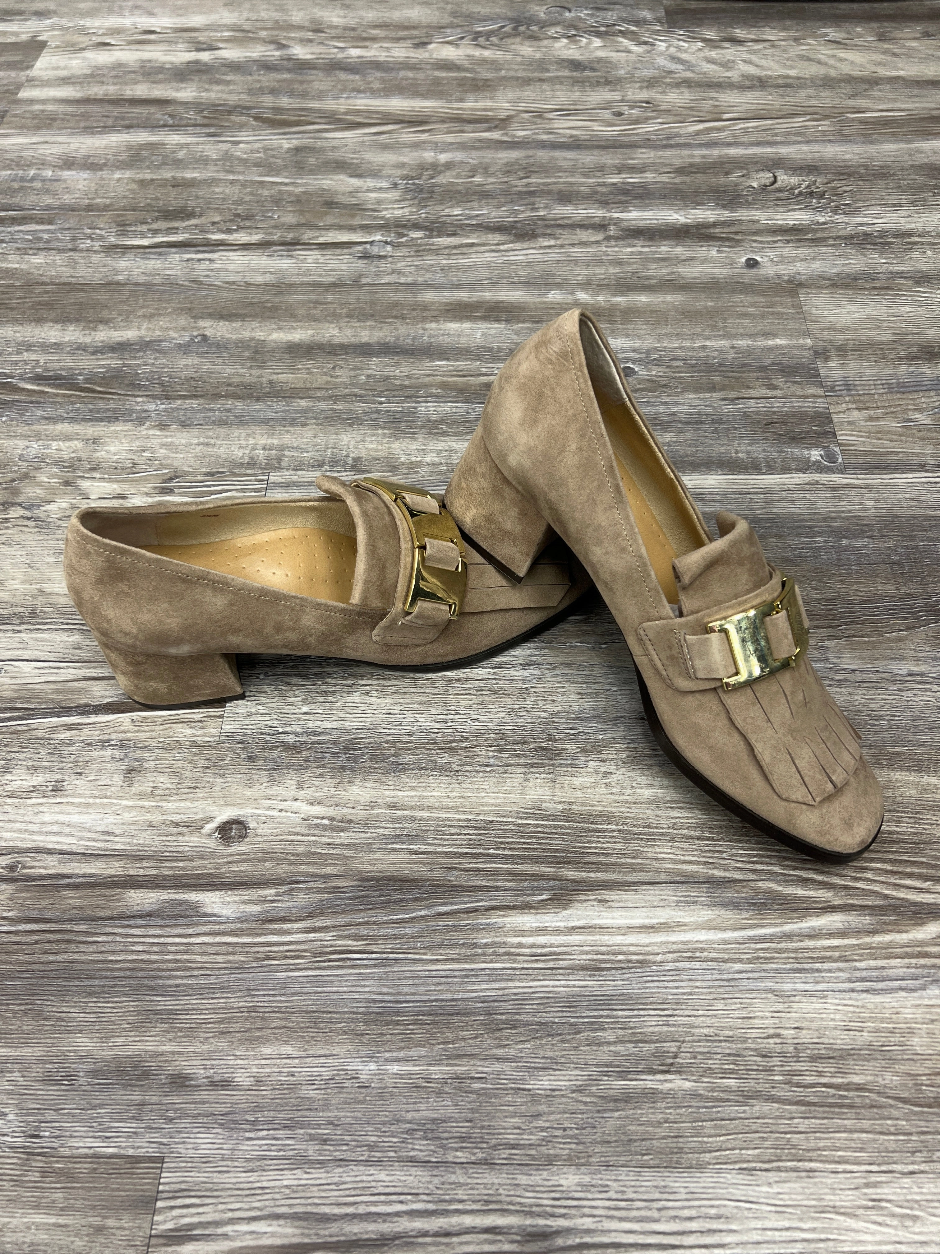 Shoes Heels Block By Vaneli  Size: 8.5